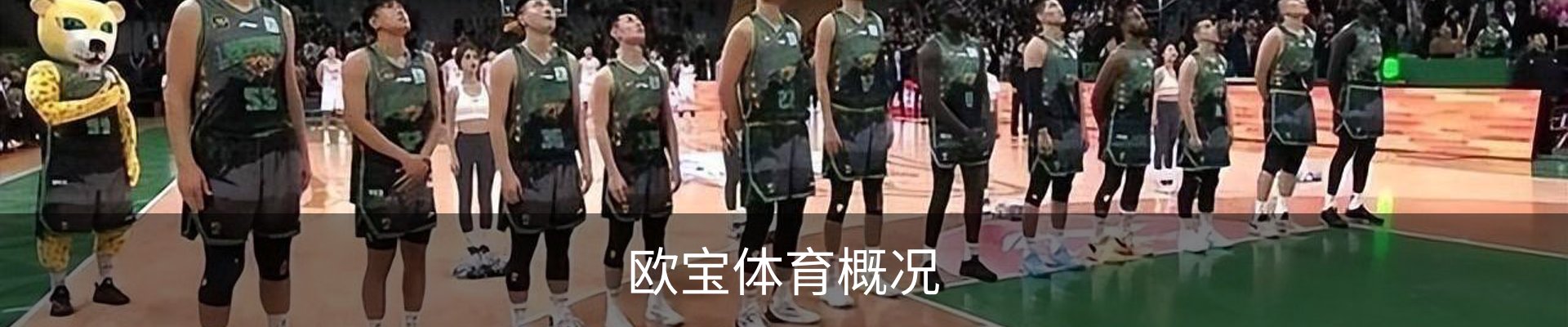 欧宝体育概况